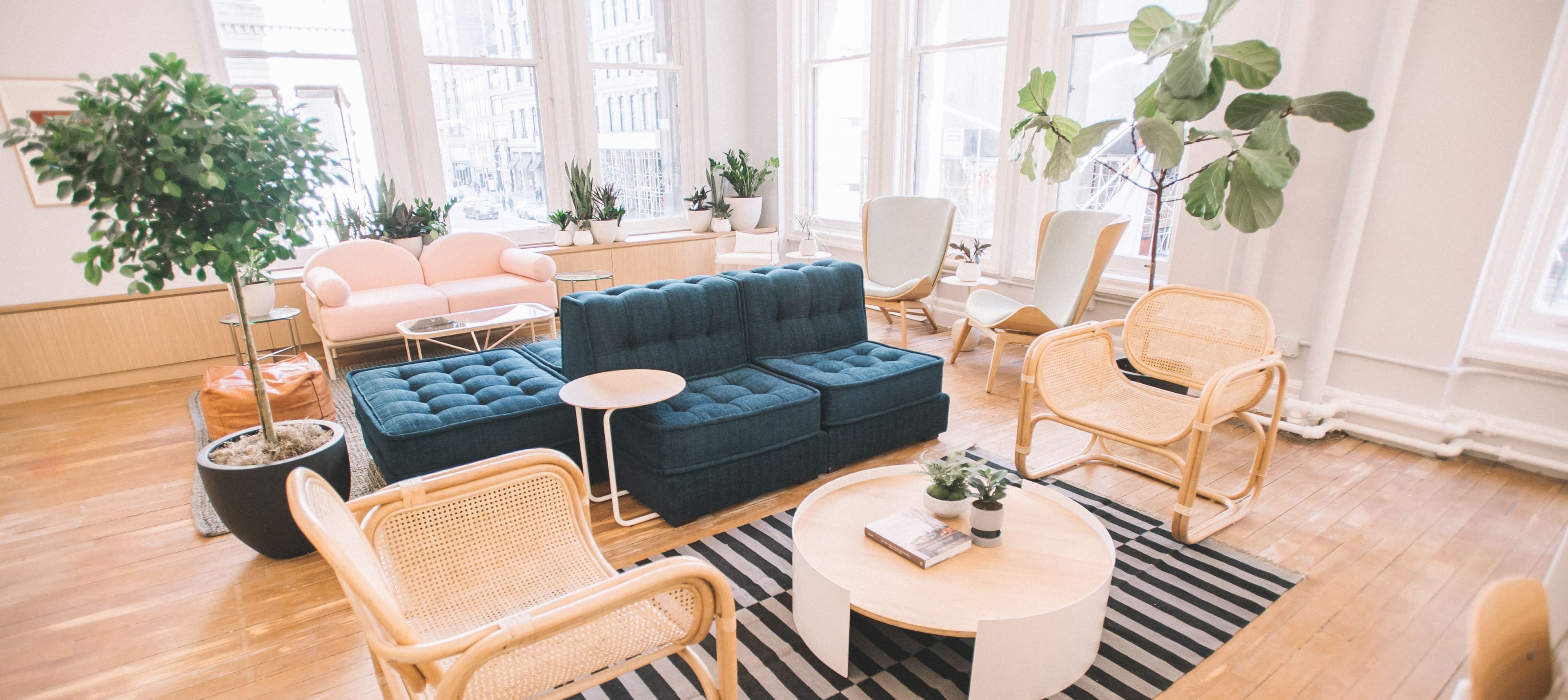 Doctor’s offices are terrifying. This one is designed to calm your nerves