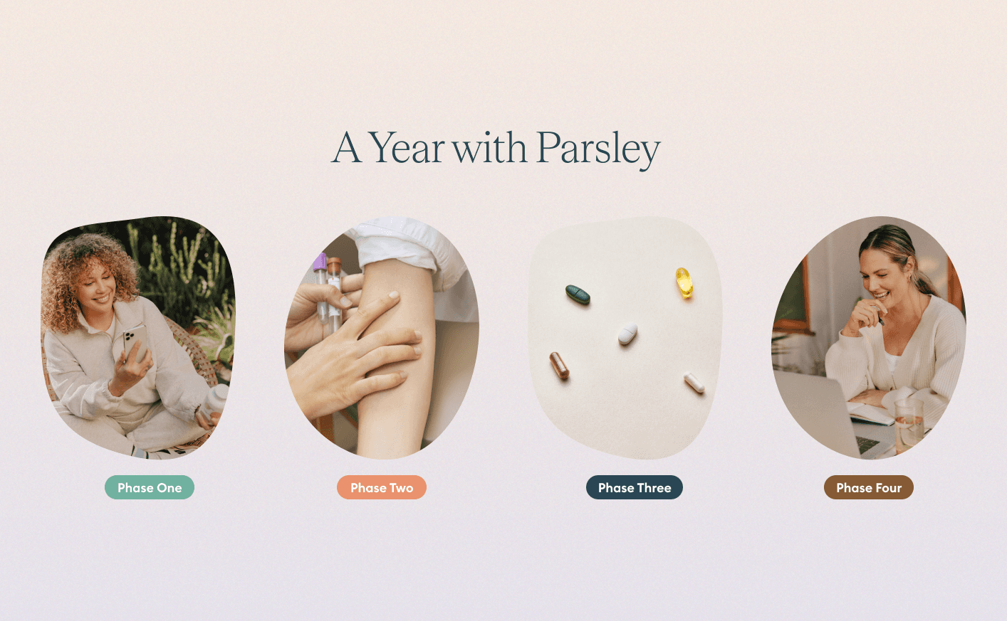 What to Expect During Your Year-Long Parsley Membership
